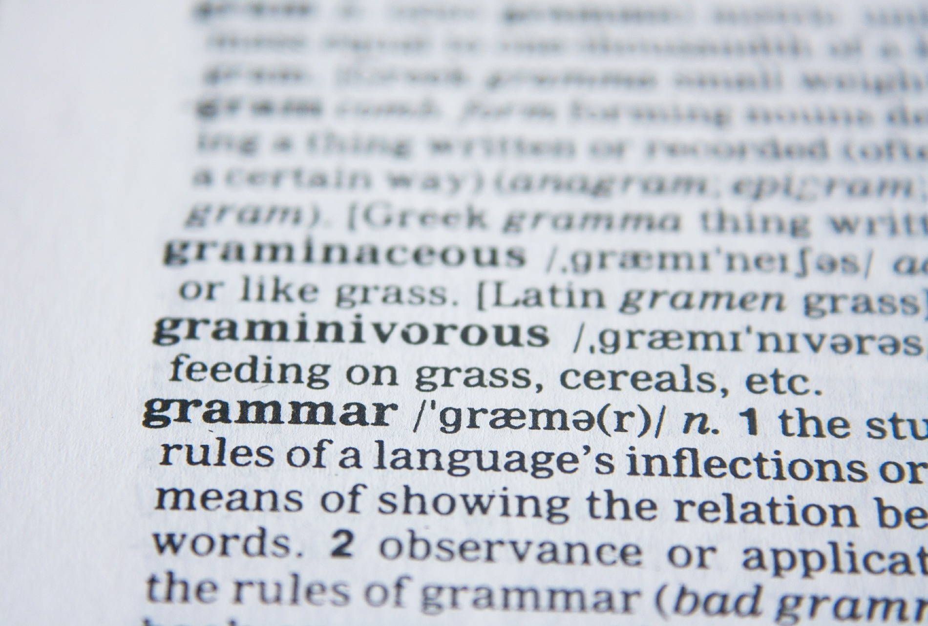 Parte di un vocabolario in lingua inglese
