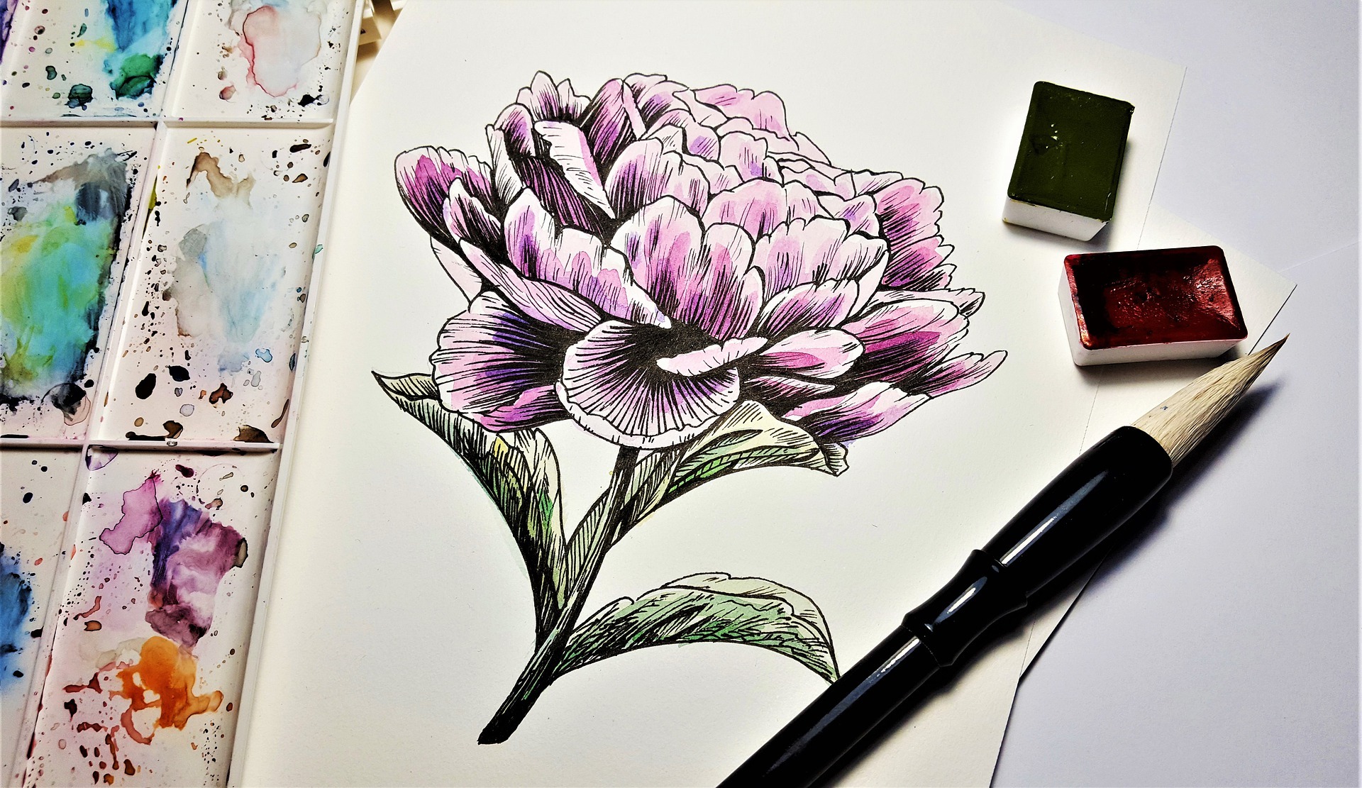 Drawing and acquerello of flowers 