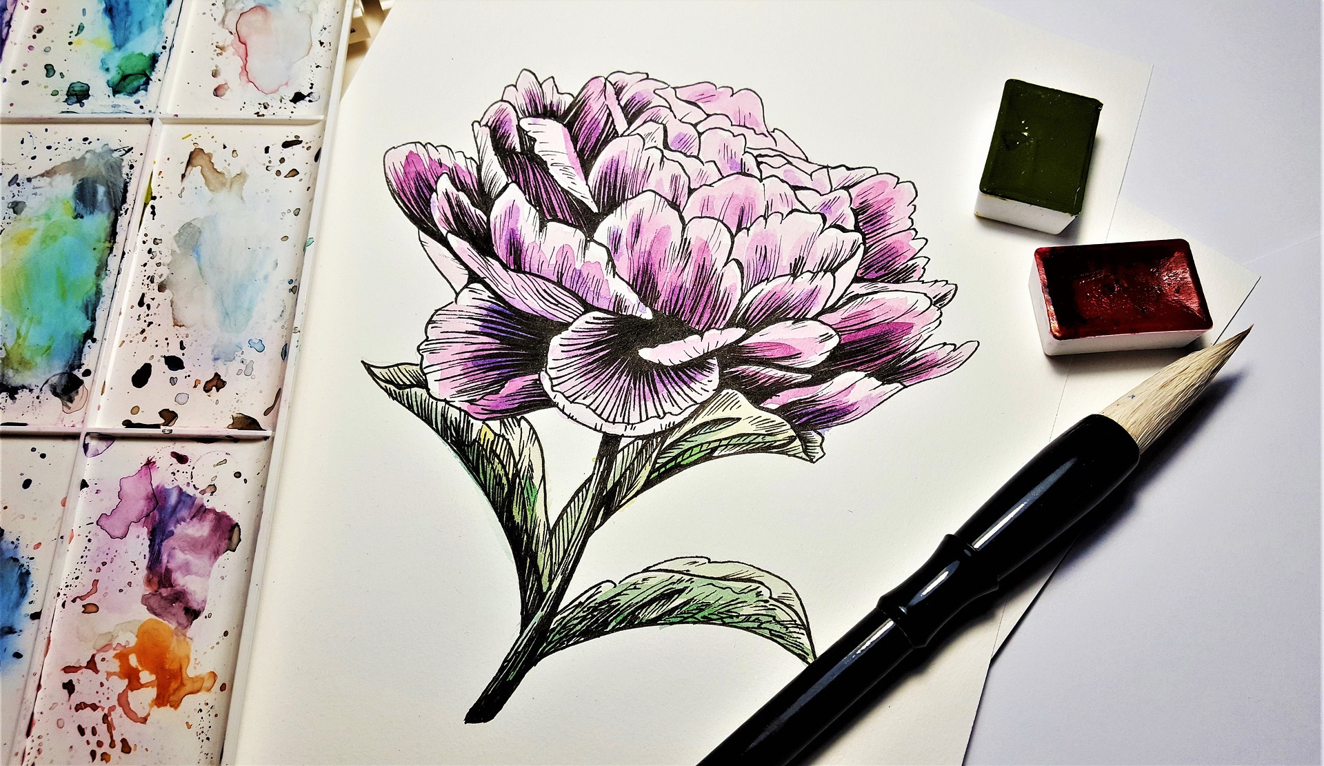 Drawing and acquerello of flowers