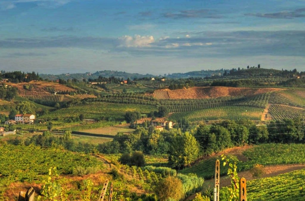 Tour nel Chianti con gli studenti di italiano della scuola