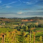 Colline del Chianti vicino a Firenze 