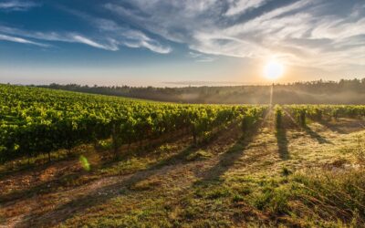 TRE BUONE RAGIONI PER VISITARE LA TOSCANA